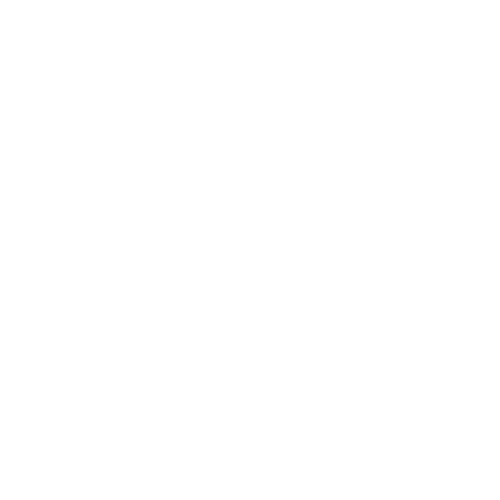 Mama Bird